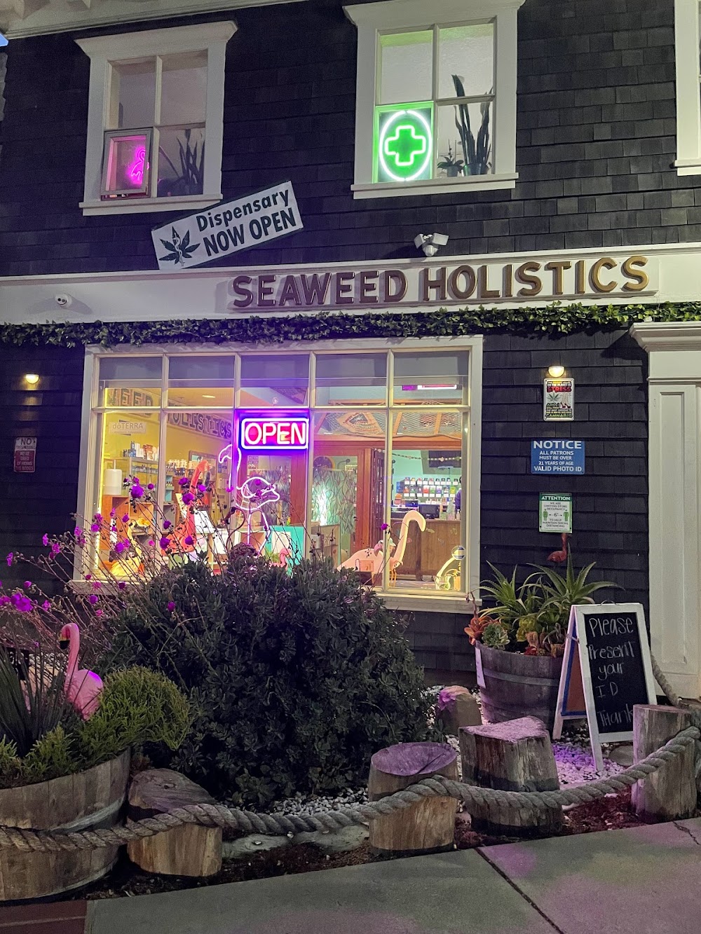 Seaweed Holistics